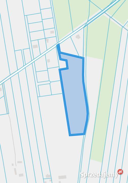 Sprzedam ziemię rolną 7zł/m2 Panaszew