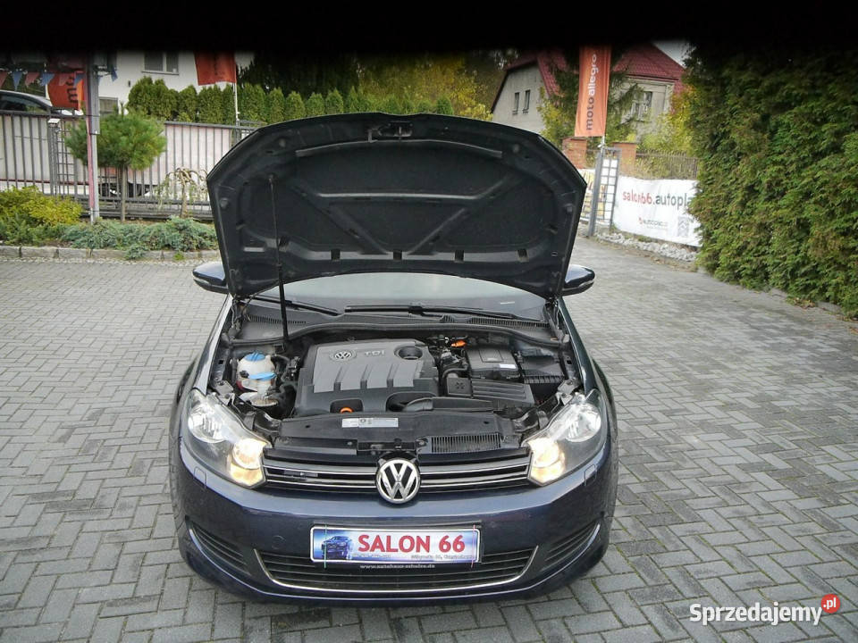 Volkswagen Golf 16tdi Navi Stan b Hatchback Częstochowa