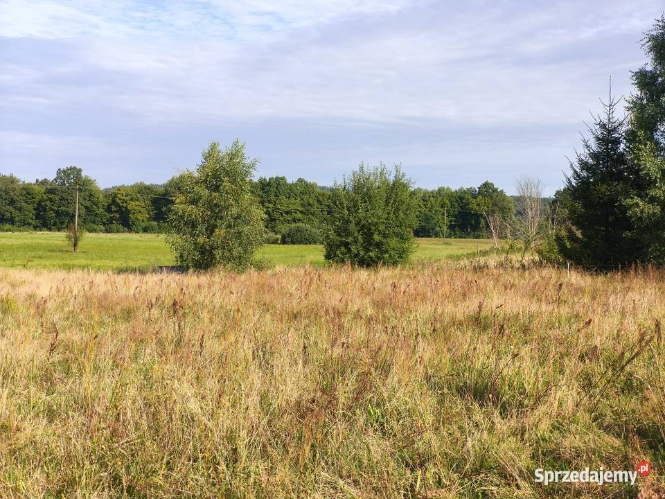 Z dala spojrzeń sąsiadów Sprzedaż pomorskie