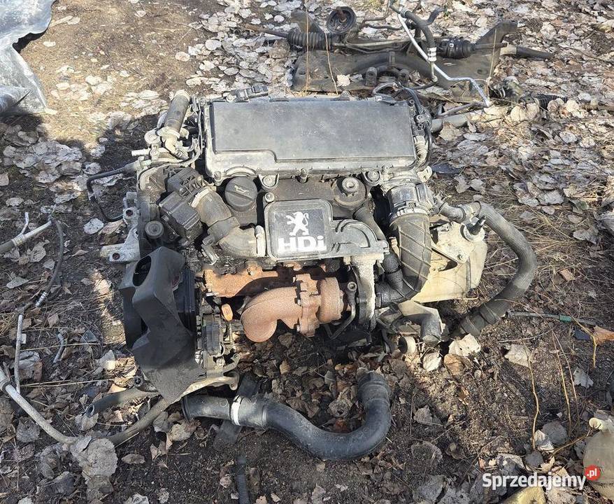 Silnik kompletny Peugeot 206 14 Hdi 8HZ 10FD95