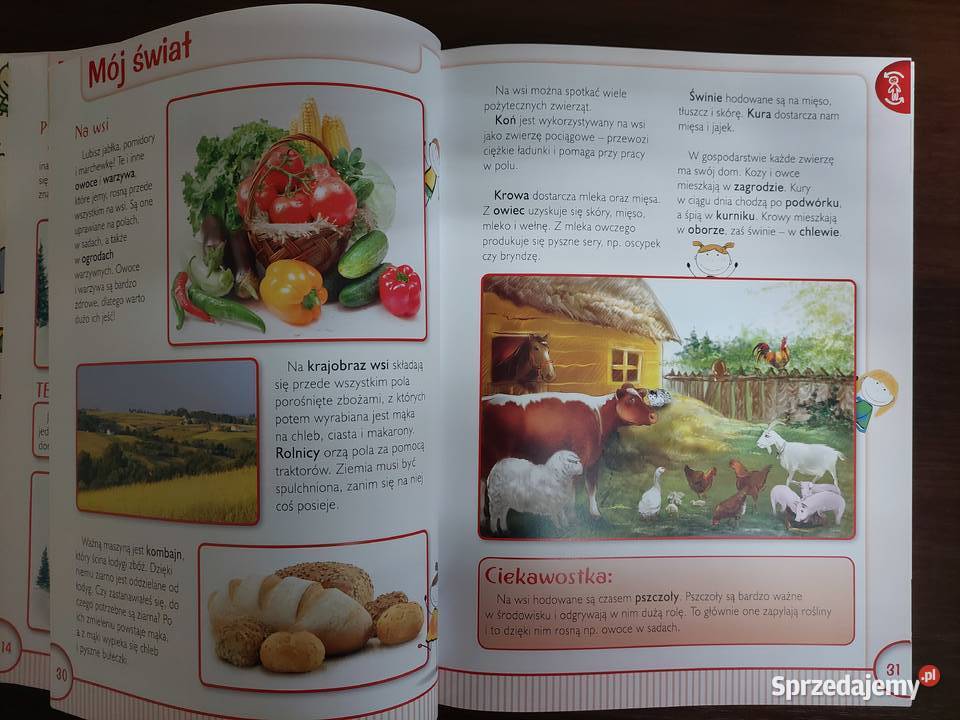 Encyklopedia Świat wokół nas Wydawnictwo SBM Tarnowskie Góry