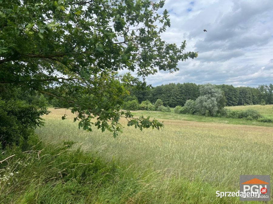 Działka 7300m2 Ościęcin