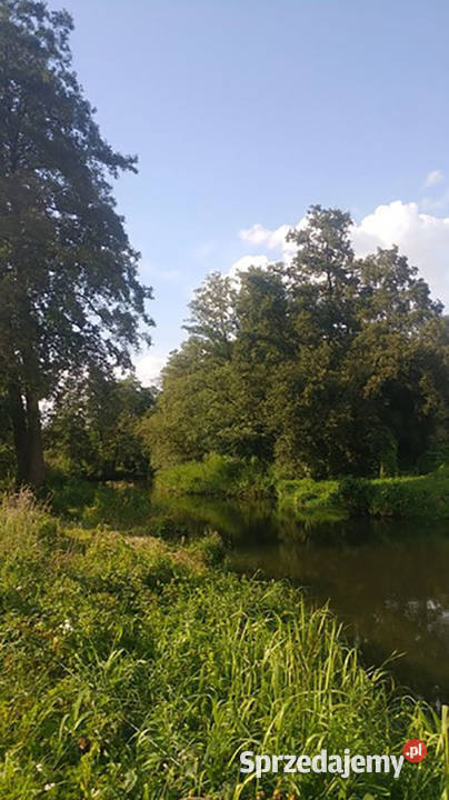 Działka rzeką Rawką kanalizacja mazowieckie Laski