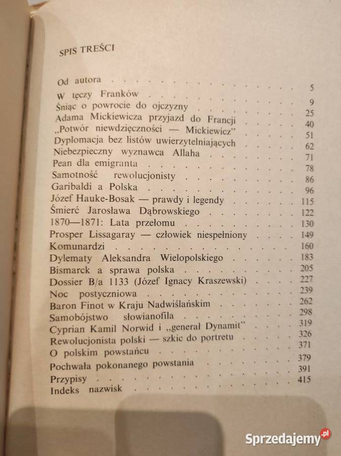 Piękny wiek XIX Jerzy W Borejsza Pozostałe Kielce sprzedam