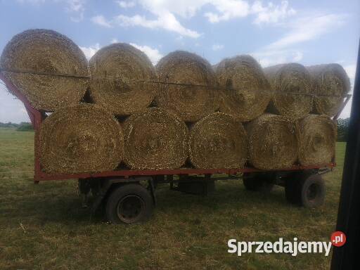 Siano Bale 120 150 Chojnów