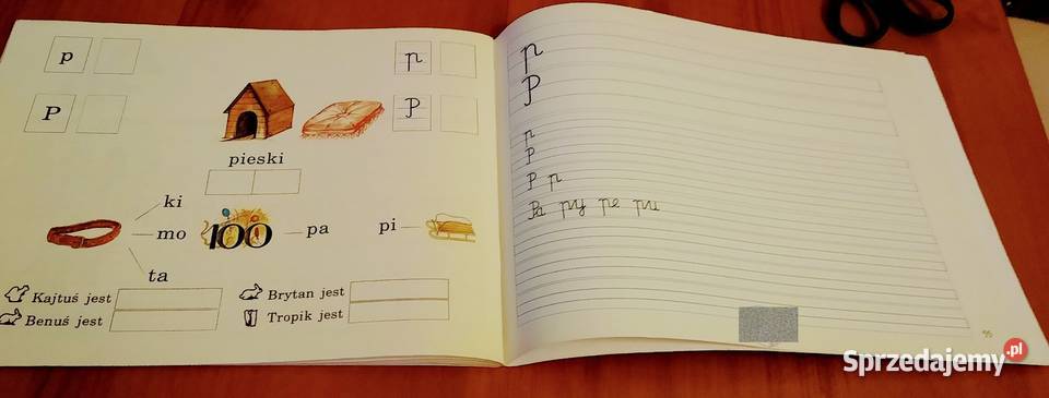 Mój elementarz zeszyt ćwiczeń 1 Elżbieta język polski