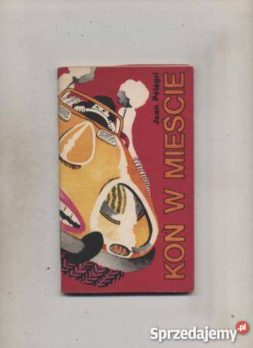 Koń w mieście Szczecin