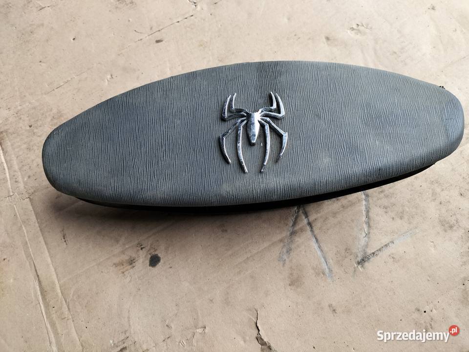 WYŚWIETLACZ RADIA P8200002604A Laguna II 2 Kamień-Kolonia