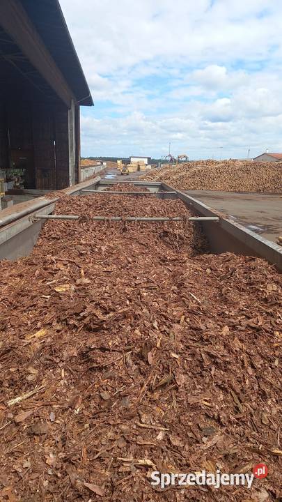 Kora sosnowa luz ilość i hurtowe cała polska Poznań