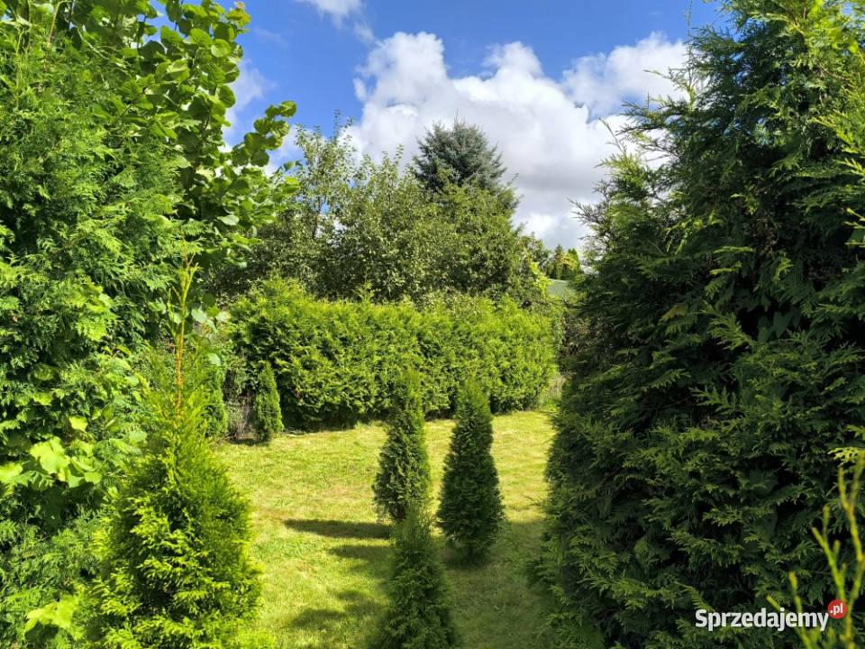 Działka ROD z przyczepą morzem Niekłonice