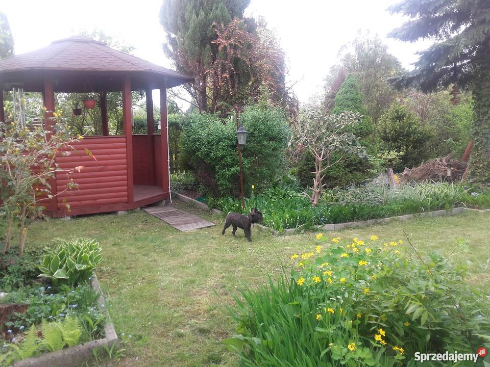 Sprzedam działke rekreacyjną w Szałe Opatówek