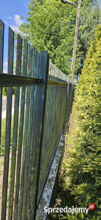 Ogrodzenie przęsła z płaskownika Kraków sprzedam
