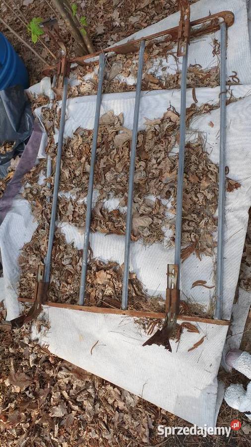 Bagażnik dachowy wartburg Warszawa