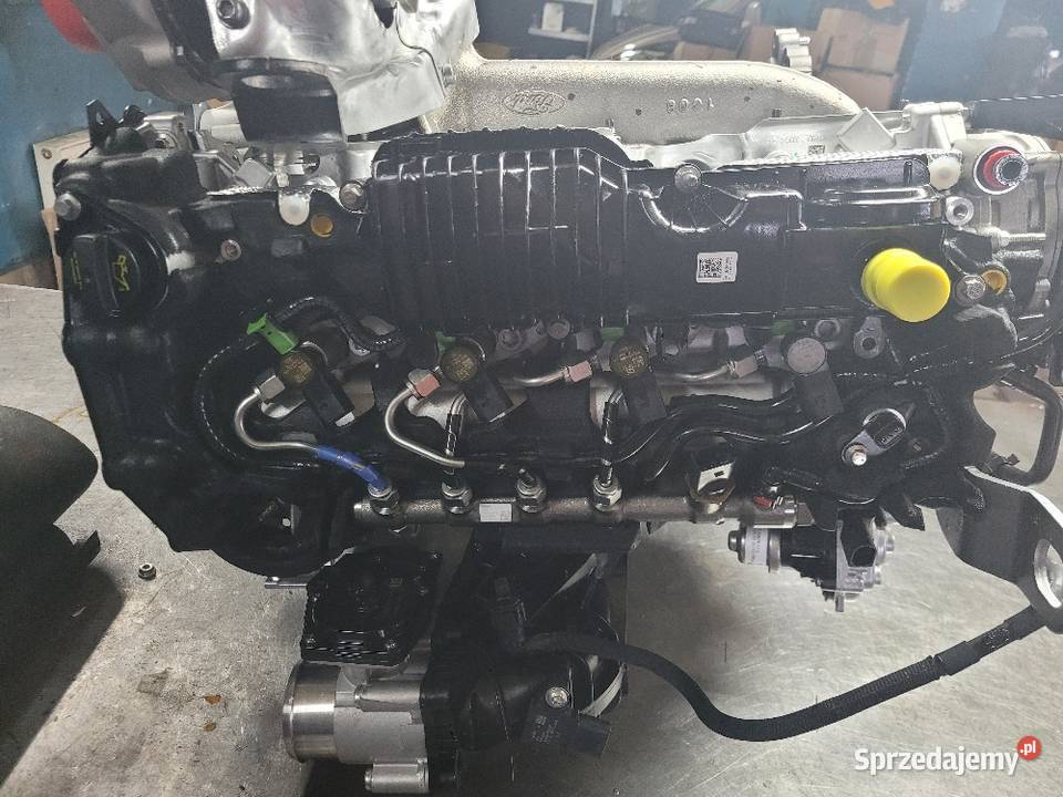 Rozrząd Ford 2011524 2301157 2011555 GK2Q8A615AA Pozostałe