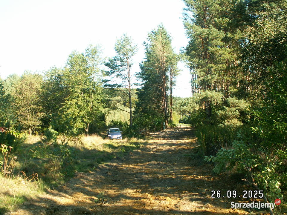 DZIAŁKI Roztocze Czarny Las Kolonia