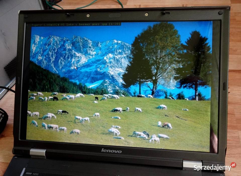 Matryca LP154WX4 1280x800 Laptopy i netbooki Szczecin