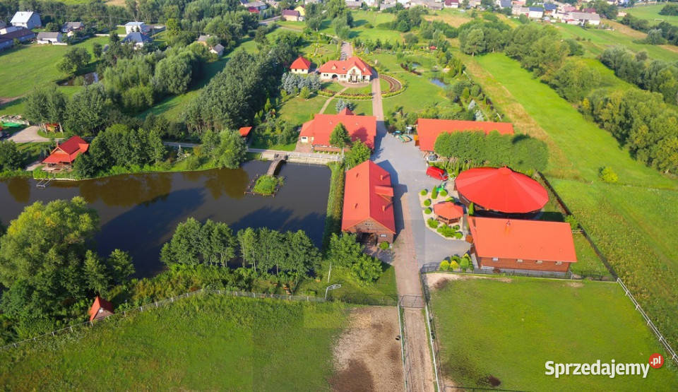 Gospodarstwo rolne w gminie Karczewhodowla koni Sprzedaż