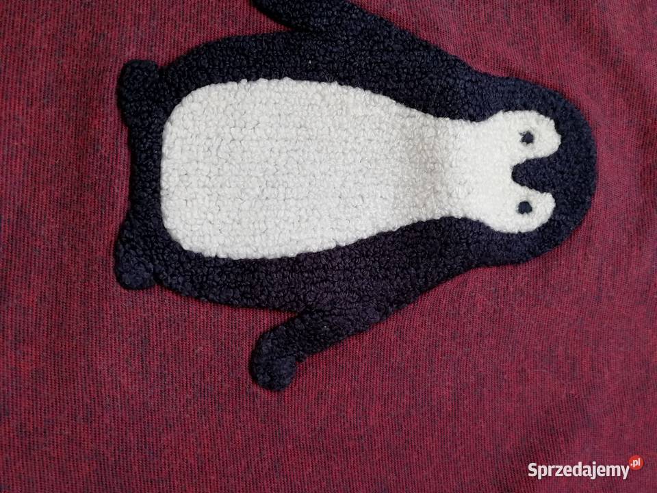 Bluza chłopiec Bluzki, koszulki i kaftaniki warmińsko-mazurskie sprzedam