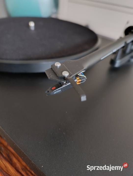 Gramofon ProJect Debut 3 wzmacniacz Denon PMA320 Tyczyn