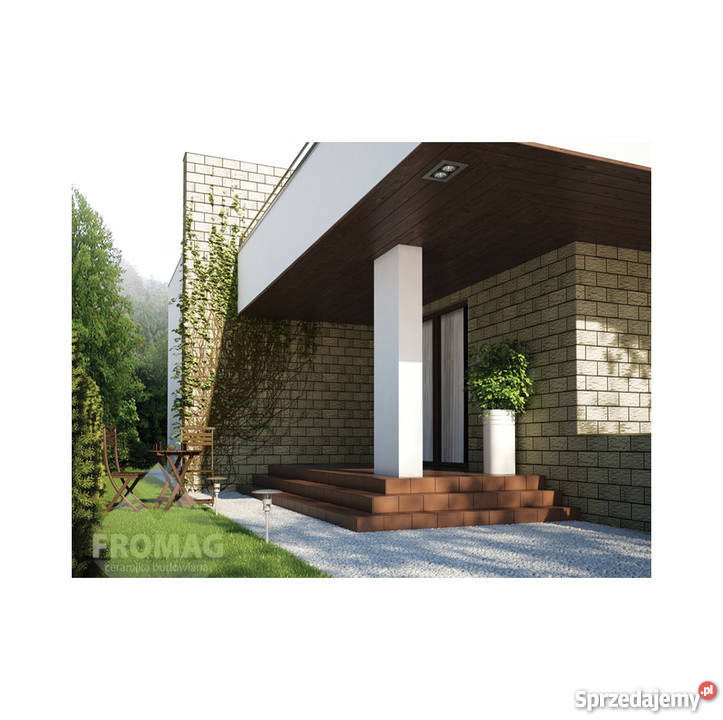 ELEWACJA Kamień szlachetny Aragonit Koral Jaspis zewnętrzne Głogów