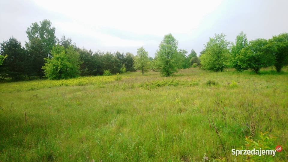 Sprzedam działkę budowlaną o pow 1093 m2 z Popielżyn-Zawady