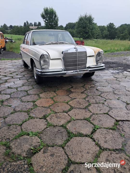 MERCEDES W108 250S 67r