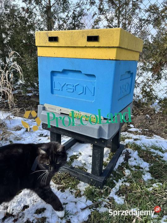 stojak pasieczny stojak pod trwały i odporny Kąty Węgierskie