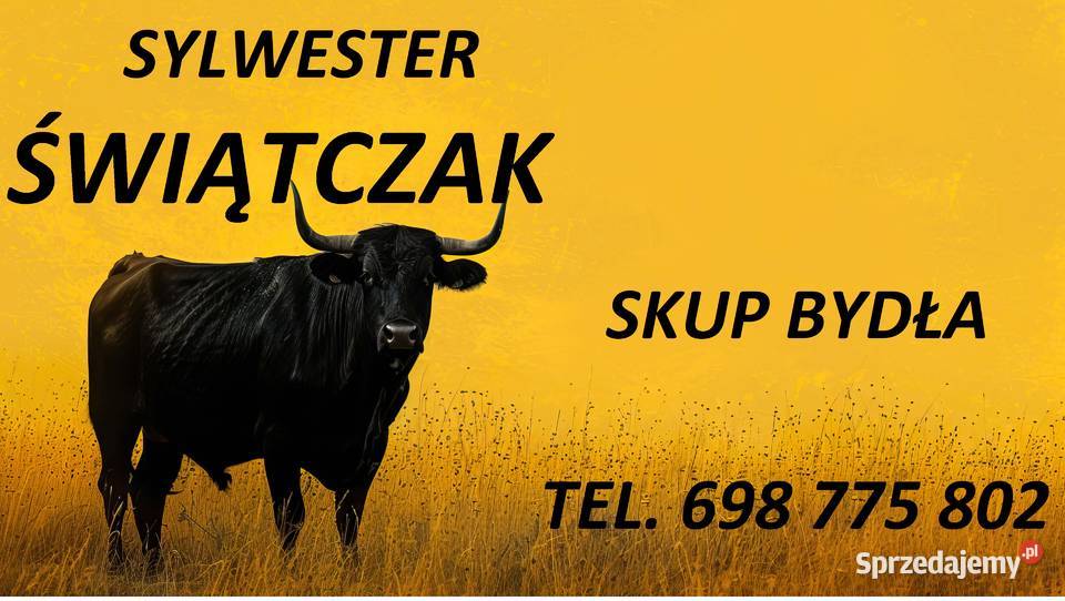 SKUP BYDŁA I TRZODY CHLEWNEJ GOTÓWKA łódzkie