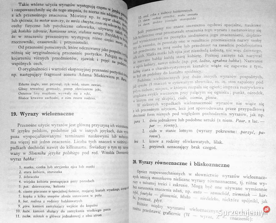 Nasz język Michał Jaworski lubelskie Chełm