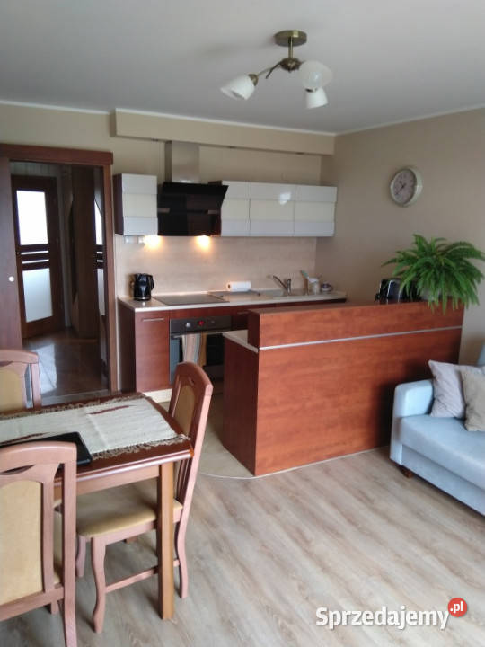Sprzedam 3pokojowe mieszkanie 50m2 Sprzedaż Kwidzyn
