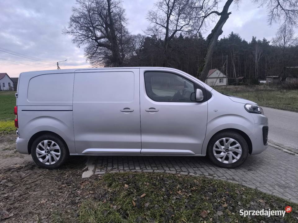 Citroen Jumpy 20 HDI 150 101 Przebiegu lubelskie Kock
