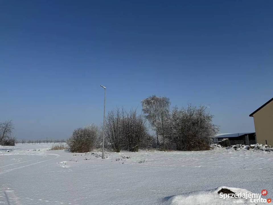 Syndyk sprzeda 13 udziału w prawie użytkowania Rybno