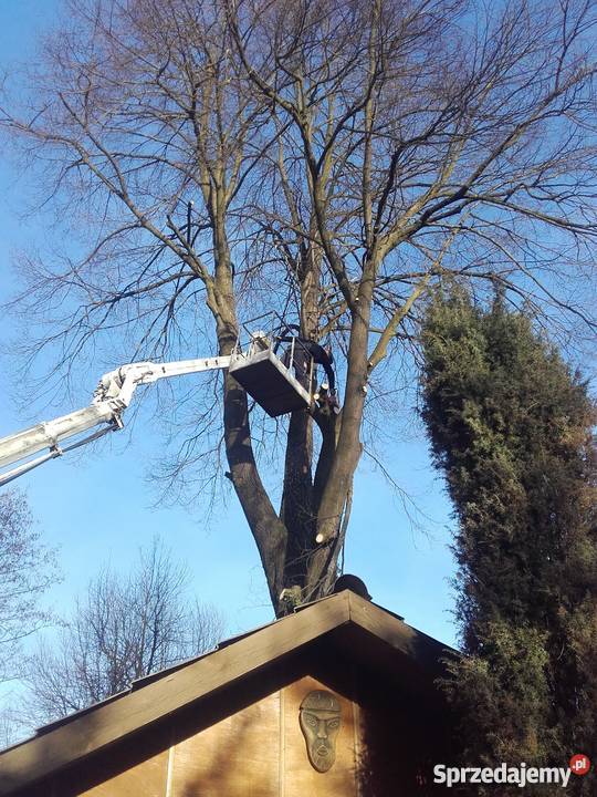 Podnośnik koszowy FALK SCHMIDT pająk Dźwigi, podnośniki Chronów