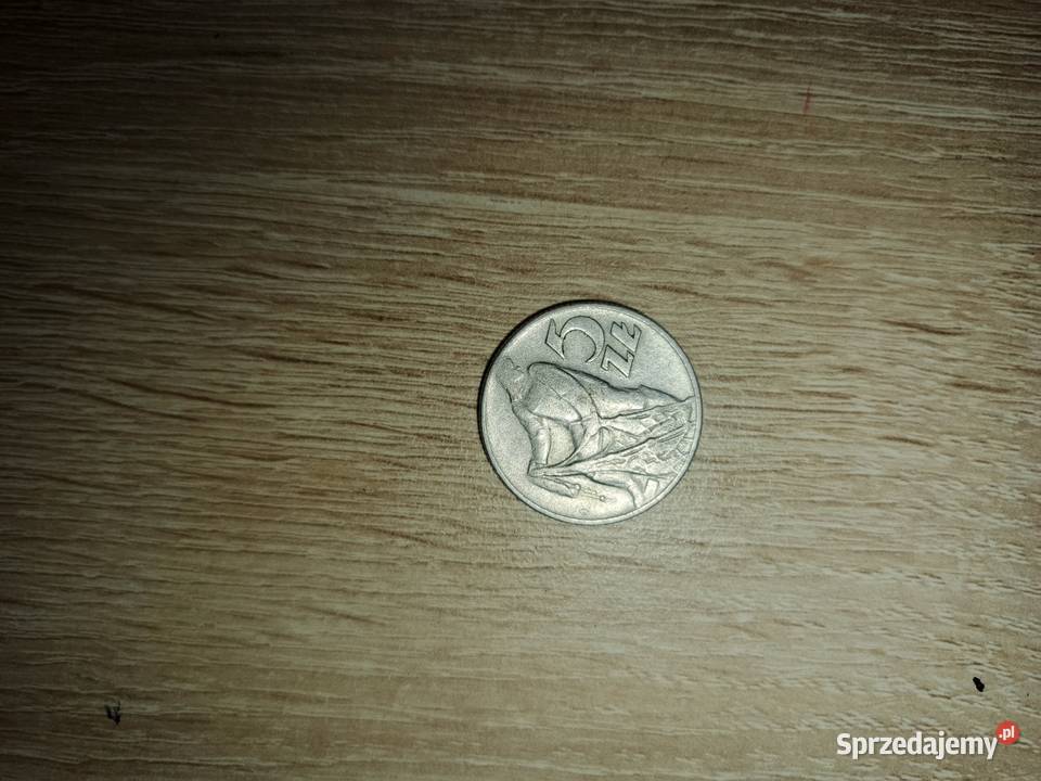 5zloty Rybak 1960 Zduńska Wola
