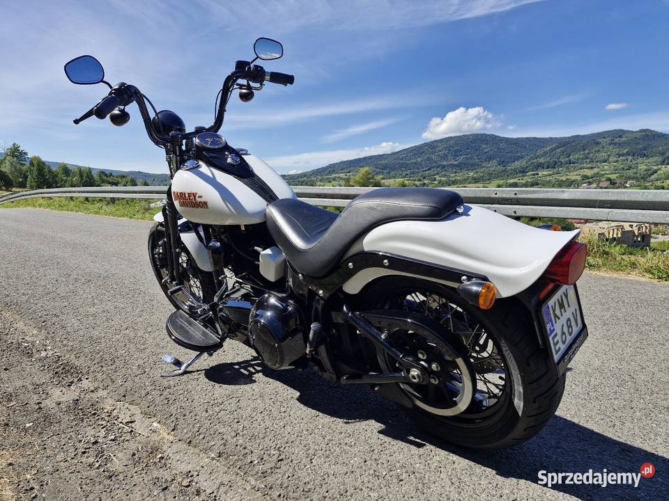 Harley Davidson Softail Cross Bones
