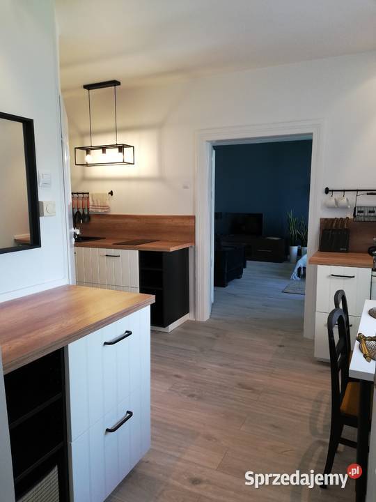 Wynajmę komfortowe dwupokojowe mieszkanie 40m2