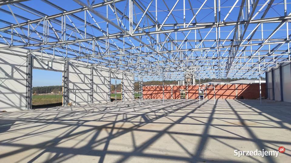 Konstrukcja hali magazynowej Konstrukcja stalowa Czarny Las