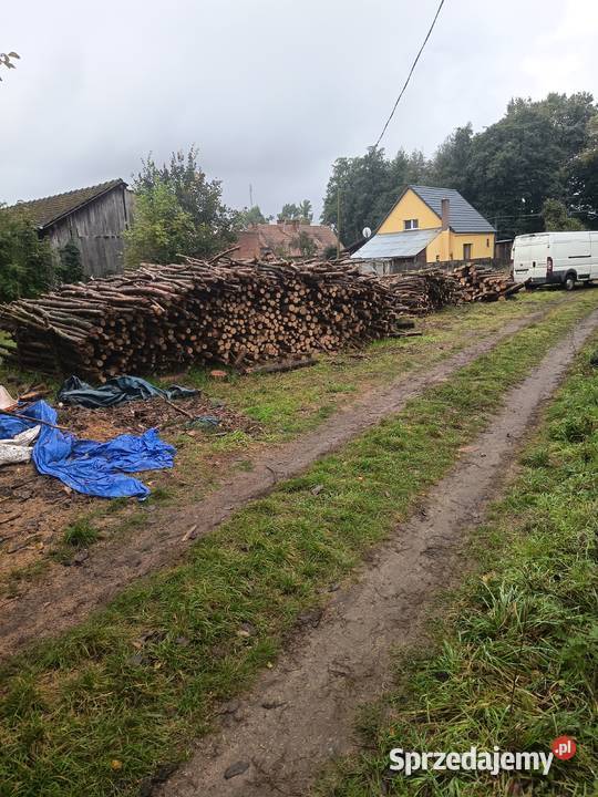 535197837 Sprzedam drewno sosnowe pocięte Zielona Góra
