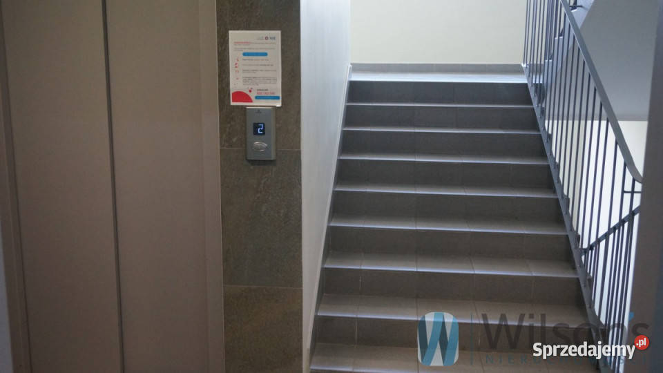 Ogłoszenie lokal Wrocław Muchobór Wielki 234m2 dolnośląskie