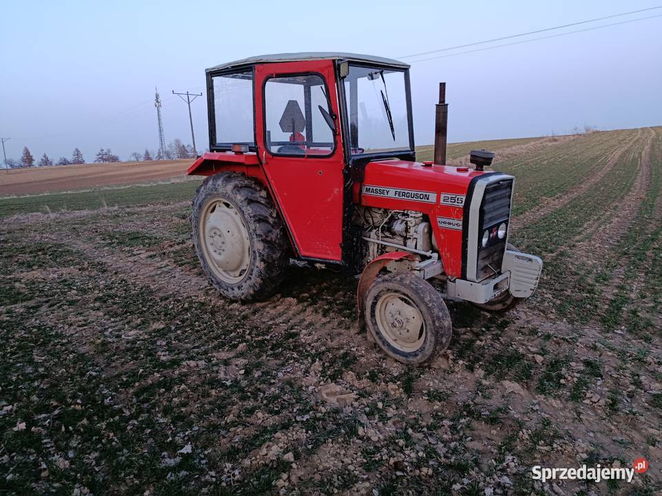 Massey Ferguson 255 Ropczyce