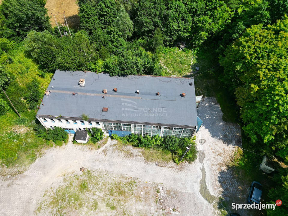 Działka na sprzedaż z budynkami produkcyjnymi Świerszczów-Kolonia