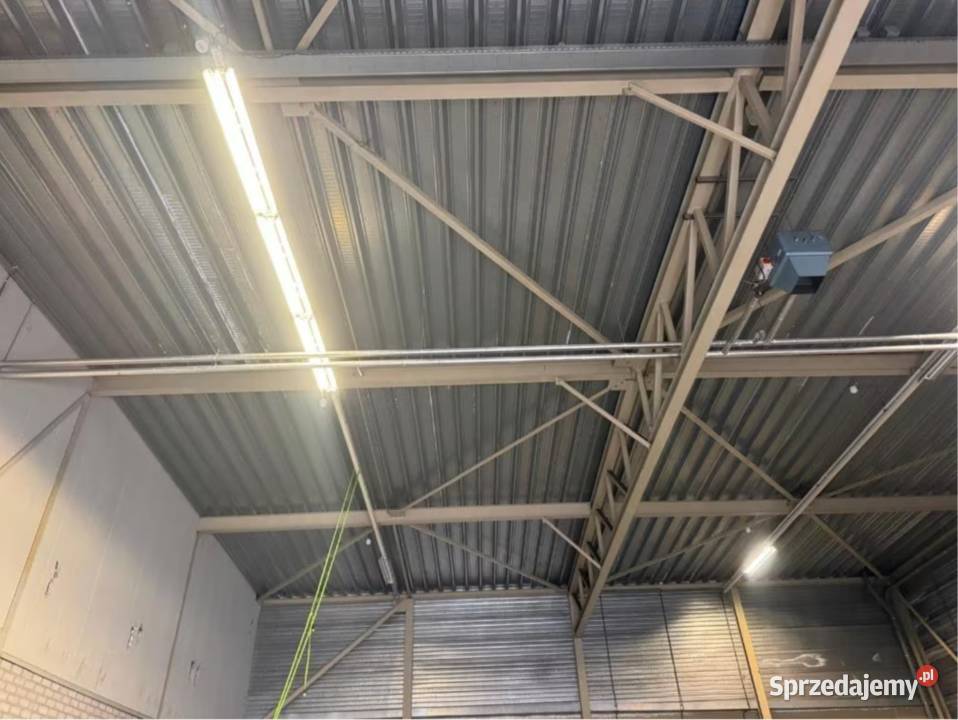 Konstrukcja stalowa z dachem hala 18x60 m Warszawa