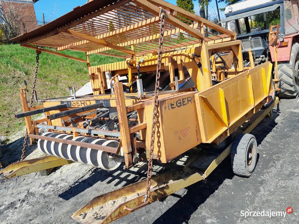 Sadzarka do warzyw taśmowa Sandomierz