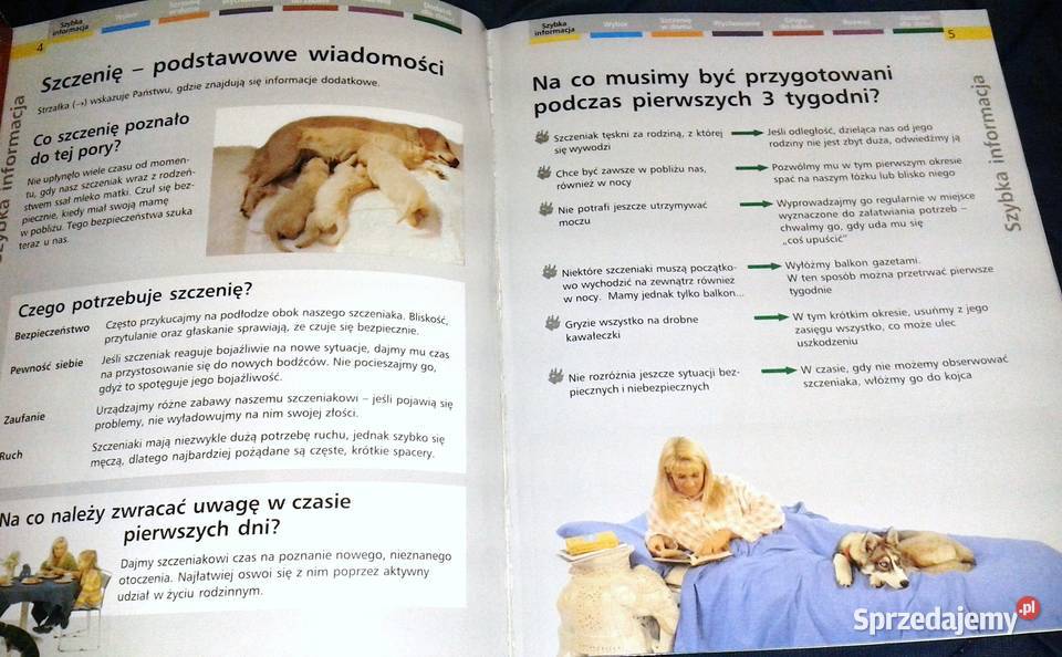 Szczenięta Heidi Rogner Rok wydania 2004 Pozostałe lubelskie