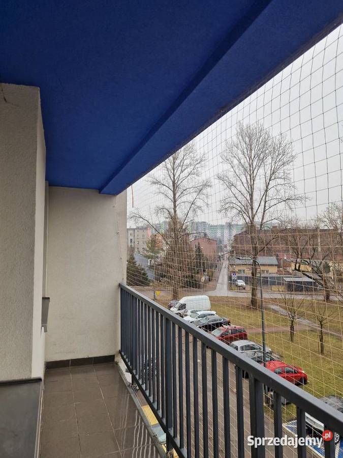 Montaż kolców przeciw gołębiom Bytom Montaż