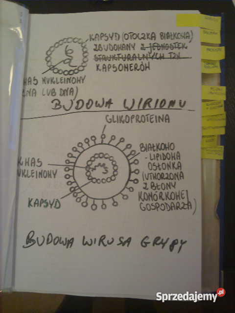 Materiały przygotowujące do matury z biologii ro Katowice