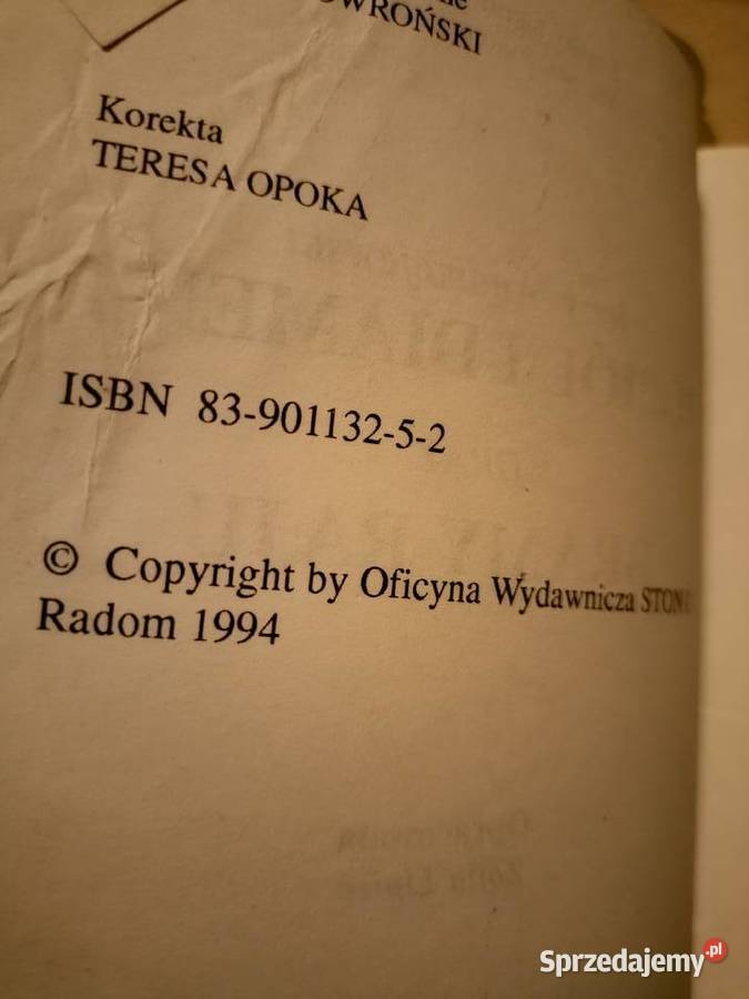 Popiół i diament Bramy raju analiz literatury Książki naukowe i popularnonaukowe Warszawa