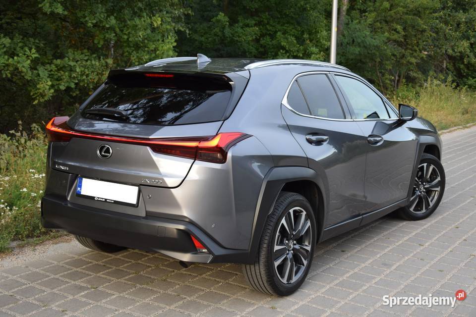 LEXUS UX SALON Serwis ASo Bezwypadkowy Zarejestrowany w Polsce
