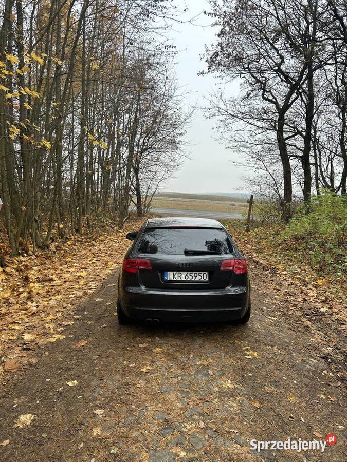 Audi A3 8p 18 TFSI Dzierzkowice-Wola