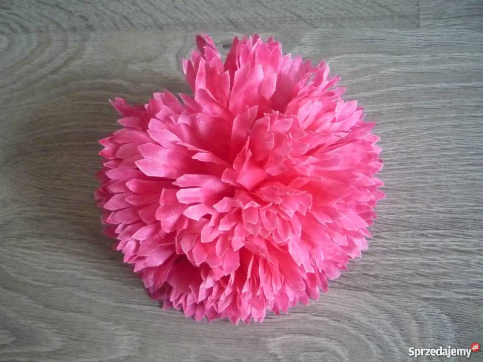 Duża 17 chryzantema główka żółta fioletowa